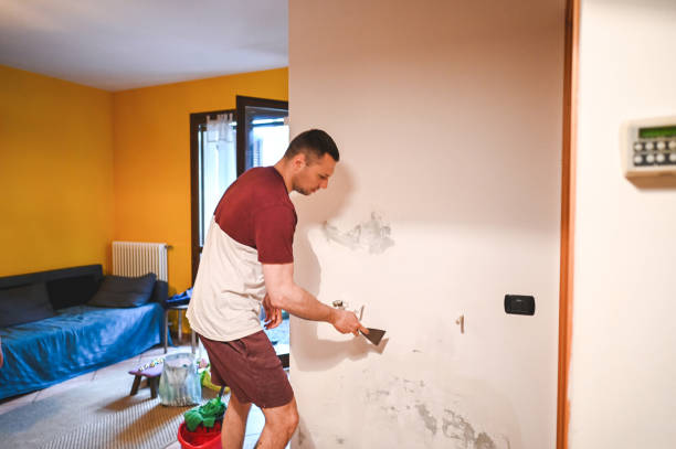 Best Local Mold Removal Service  in The Woodlands, TX